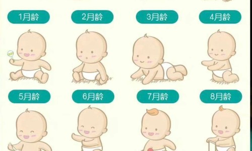 加元和美元汇率换算-加元和美元符号区别-专业加元和美元符号一样吗平台-加元和美元符号区别在哪