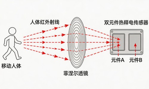 加元和美元汇率换算-加元和美元符号区别-专业加元和美元符号一样吗平台-加元和美元符号区别在哪